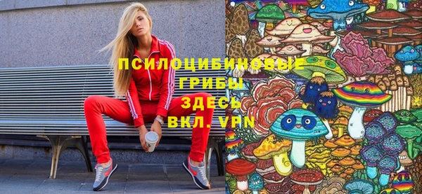 прущий лед Инсар